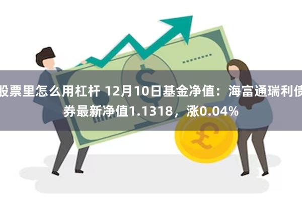 股票里怎么用杠杆 12月10日基金净值：海富通瑞利债券最新净值1.1318，涨0.04%