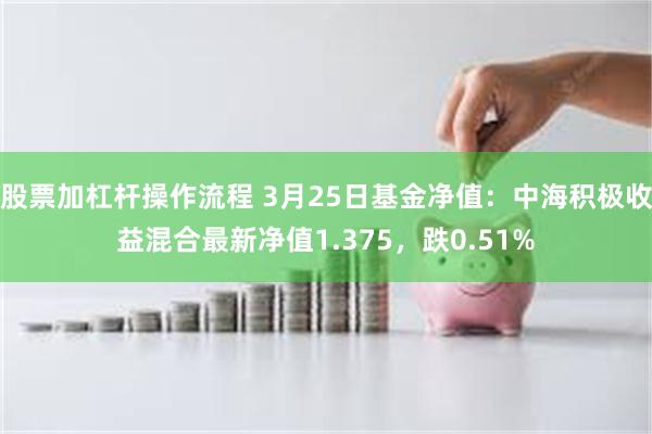 股票加杠杆操作流程 3月25日基金净值：中海积极收益混合最新净值1.375，跌0.51%
