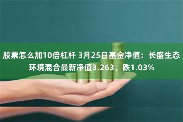 股票怎么加10倍杠杆 3月25日基金净值：长盛生态环境混合最新净值3.263，跌1.03%