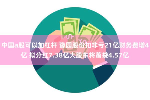 中国a股可以加杠杆 豫园股份扣非亏21亿财务费增4亿 拟分红7.38亿大股东将落袋4.57亿