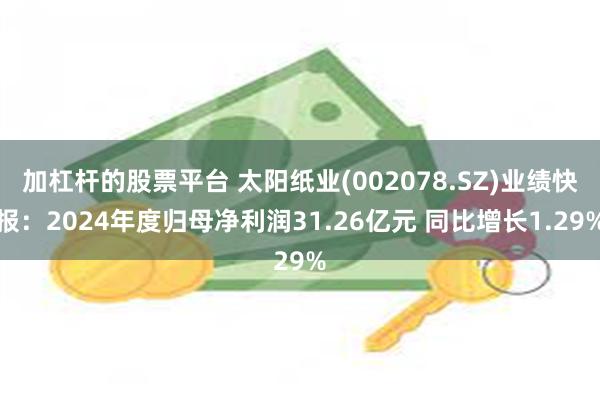 加杠杆的股票平台 太阳纸业(002078.SZ)业绩快报：2024年度归母净利润31.26亿元 同比增长1.29%