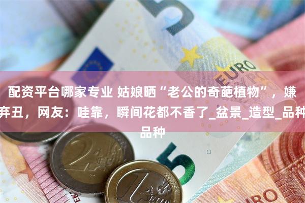 配资平台哪家专业 姑娘晒“老公的奇葩植物”，嫌弃丑，网友：哇靠，瞬间花都不香了_盆景_造型_品种