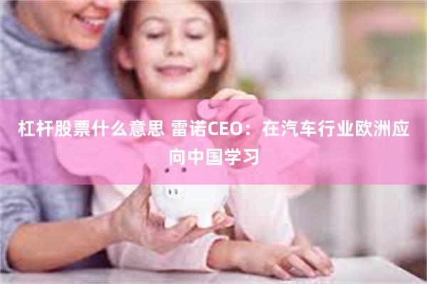 杠杆股票什么意思 雷诺CEO：在汽车行业欧洲应向中国学习