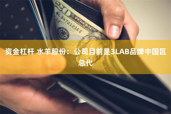 资金杠杆 水羊股份：公司目前是3LAB品牌中国区总代