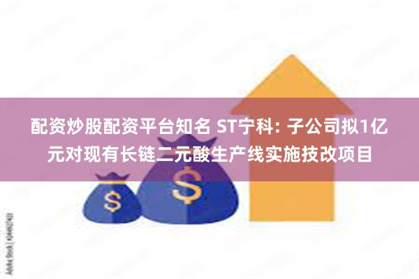 配资炒股配资平台知名 ST宁科: 子公司拟1亿元对现有长链二元酸生产线实施技改项目