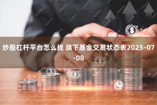 炒股杠杆平台怎么找 旗下基金交易状态表2025-07-08