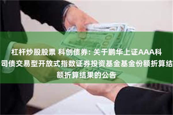 杠杆炒股股票 科创债券: 关于鹏华上证AAA科技创新公司债交易型开放式指数证券投资基金基金份额折算结果的公告