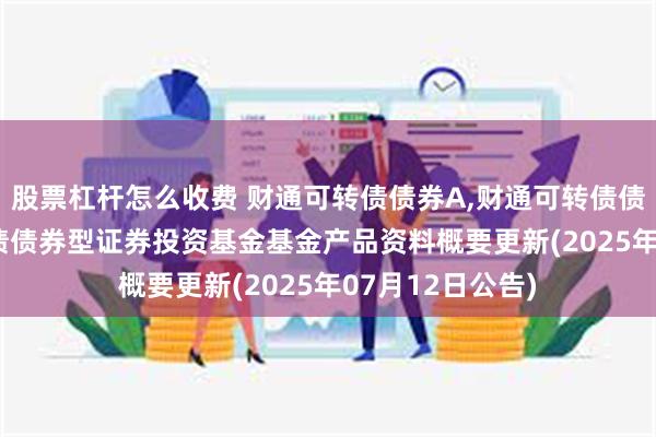 股票杠杆怎么收费 财通可转债债券A,财通可转债债券C: 财通可转债债券型证券投资基金基金产品资料概要更新(2025年07月12日公告)