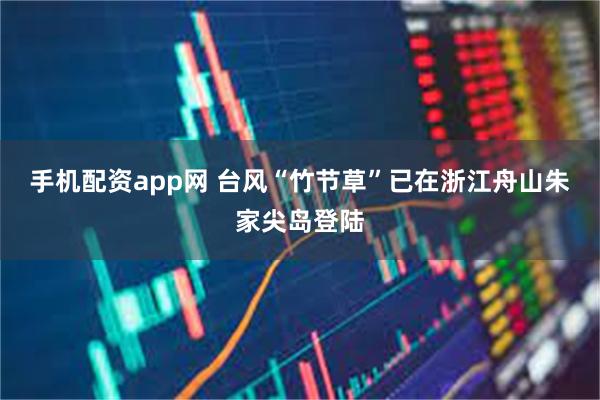 手机配资app网 台风“竹节草”已在浙江舟山朱家尖岛登陆
