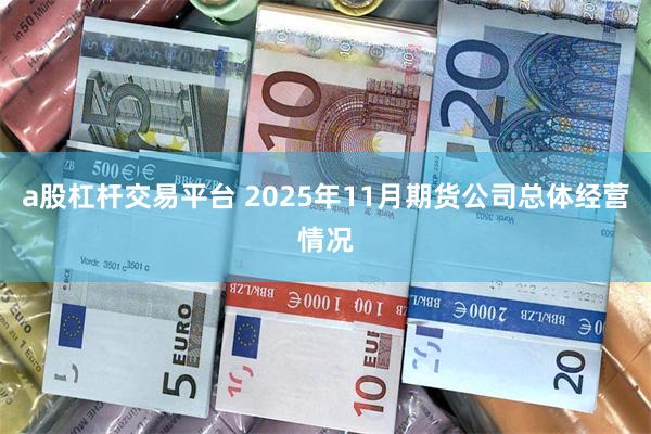 a股杠杆交易平台 2025年11月期货公司总体经营情况