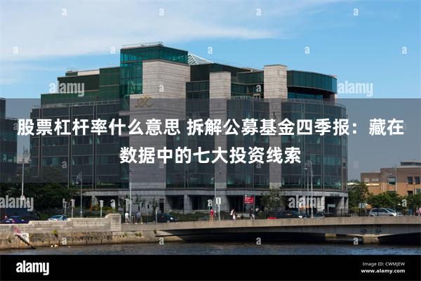 股票杠杆率什么意思 拆解公募基金四季报：藏在数据中的七大投资线索