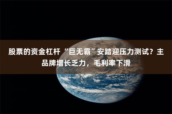 股票的资金杠杆 “巨无霸”安踏迎压力测试？主品牌增长乏力，毛利率下滑