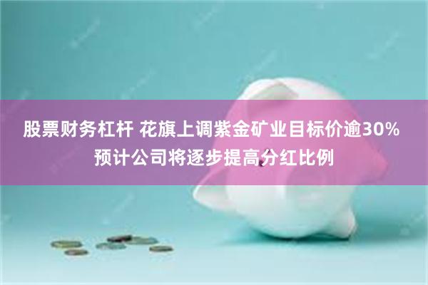 股票财务杠杆 花旗上调紫金矿业目标价逾30% 预计公司将逐步提高分红比例