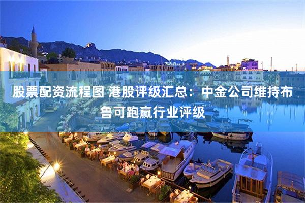 股票配资流程图 港股评级汇总：中金公司维持布鲁可跑赢行业评级