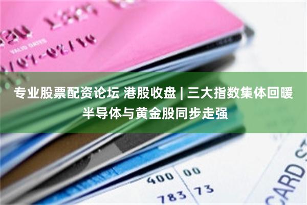 专业股票配资论坛 港股收盘 | 三大指数集体回暖 半导体与黄金股同步走强