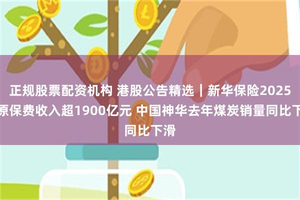 正规股票配资机构 港股公告精选｜新华保险2025年原保费收入超1900亿元 中国神华去年煤炭销量同比下滑