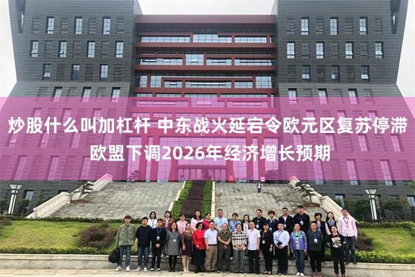 炒股什么叫加杠杆 中东战火延宕令欧元区复苏停滞 欧盟下调2026年经济增长预期