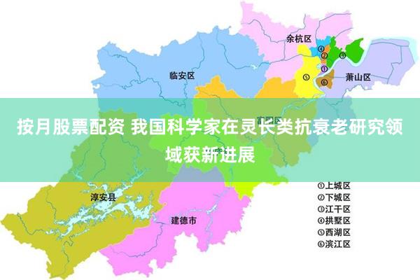 按月股票配资 我国科学家在灵长类抗衰老研究领域获新进展