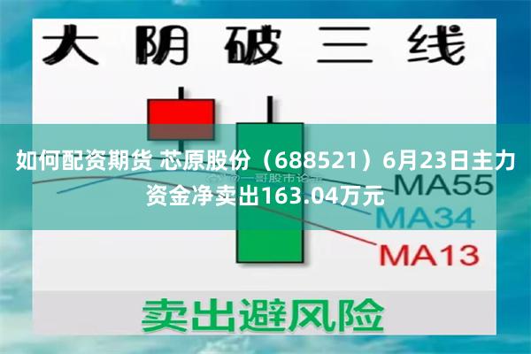 如何配资期货 芯原股份（688521）6月23日主力资金净卖出163.04万元