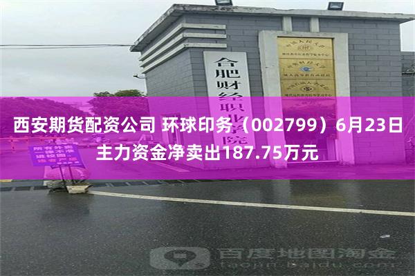 西安期货配资公司 环球印务（002799）6月23日主力资金净卖出187.75万元
