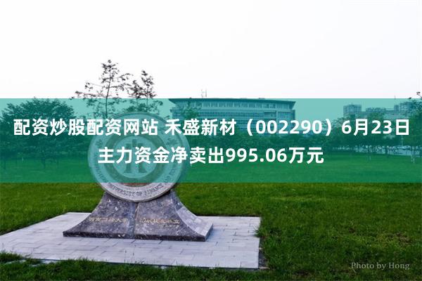 配资炒股配资网站 禾盛新材（002290）6月23日主力资金净卖出995.06万元