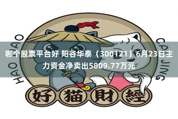 哪个股票平台好 阳谷华泰（300121）6月23日主力资金净卖出5809.77万元