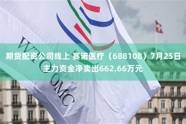 期货配资公司线上 赛诺医疗（688108）7月25日主力资金净卖出662.66万元