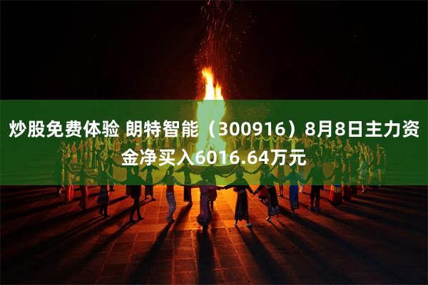 炒股免费体验 朗特智能（300916）8月8日主力资金净买入6016.64万元