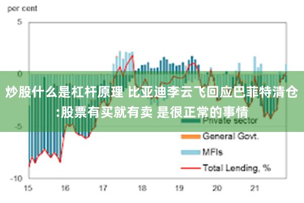 炒股什么是杠杆原理 比亚迪李云飞回应巴菲特清仓:股票有买就有卖 是很正常的事情