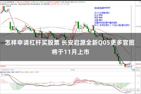 怎样申请杠杆买股票 长安启源全新Q05更多官图 将于11月上市