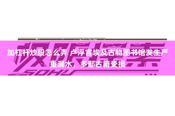 加杠杆炒股怎么弄 卢浮宫埃及古物图书馆发生严重漏水，多部古籍受损