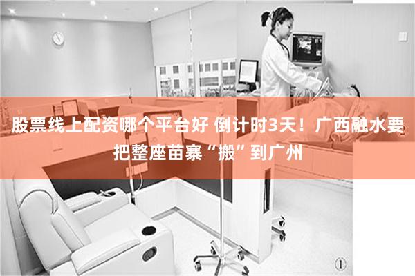 股票线上配资哪个平台好 倒计时3天！广西融水要把整座苗寨“搬”到广州