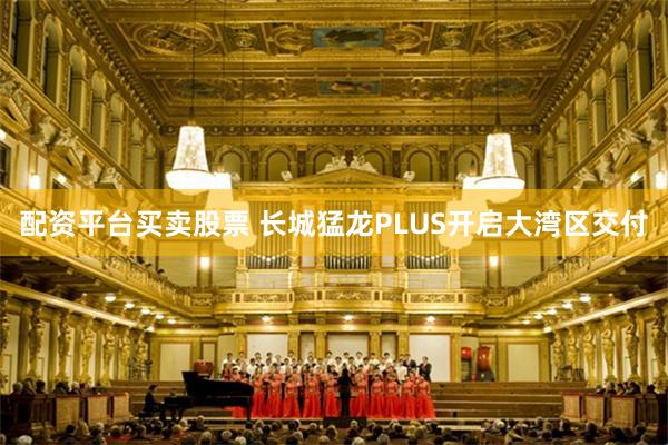 配资平台买卖股票 长城猛龙PLUS开启大湾区交付