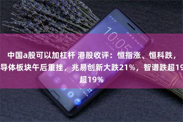 中国a股可以加杠杆 港股收评：恒指涨、恒科跌，半导体板块午后重挫，兆易创新大跌21%，智谱跌超19%