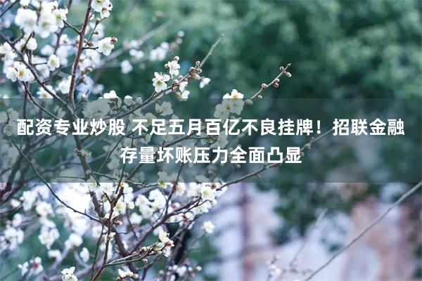 配资专业炒股 不足五月百亿不良挂牌!招联金融存量坏账压力全面凸显