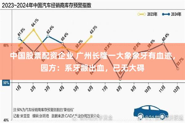 中国股票配资企业 广州长隆一大象象牙有血迹,园方:系牙龈出血,已无大碍
