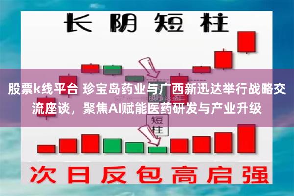 股票k线平台 珍宝岛药业与广西新迅达举行战略交流座谈,聚焦AI赋能医药研发与产业升级