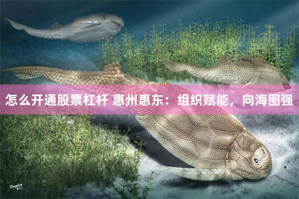 怎么开通股票杠杆 惠州惠东：组织赋能，向海图强