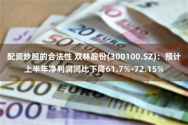 配资炒股的合法性 双林股份(300100.SZ)：预计上半年净利润同比下降61.7%-72.15%