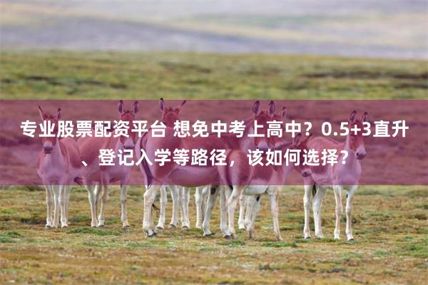 专业股票配资平台 想免中考上高中?0.5+3直升、登记入学等路径,该如何选择?
