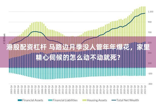 港股配资杠杆 马路边月季没人管年年爆花，家里精心伺候的怎么动不动就死？