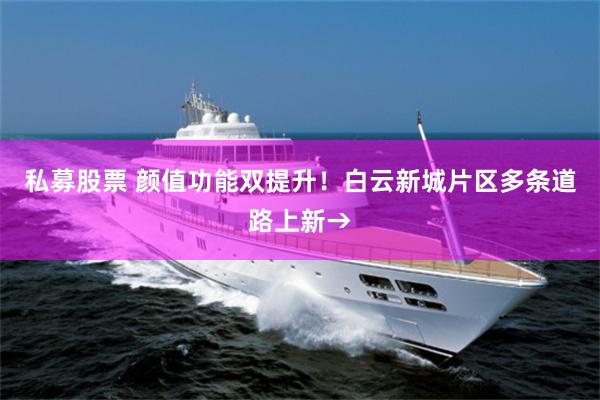 私募股票 颜值功能双提升！白云新城片区多条道路上新→