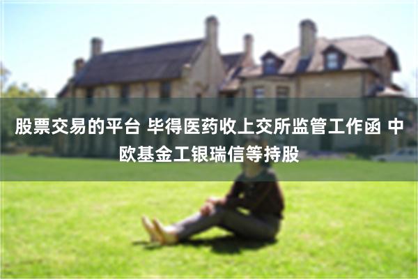 股票交易的平台 毕得医药收上交所监管工作函 中欧基金工银瑞信等持股