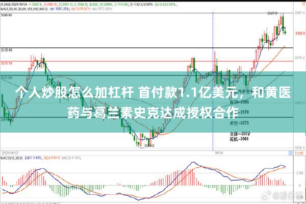 个人炒股怎么加杠杆 首付款1.1亿美元，和黄医药与葛兰素史克达成授权合作