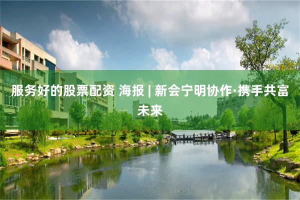 服务好的股票配资 海报 | 新会宁明协作·携手共富未来