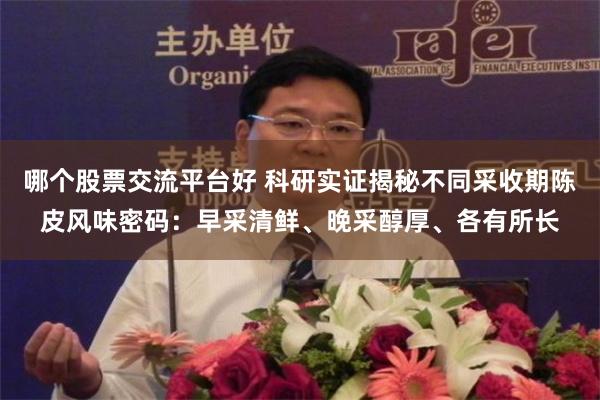 哪个股票交流平台好 科研实证揭秘不同采收期陈皮风味密码：早采清鲜、晚采醇厚、各有所长