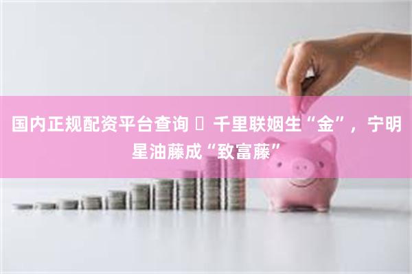 国内正规配资平台查询 ​千里联姻生“金”，宁明星油藤成“致富藤”