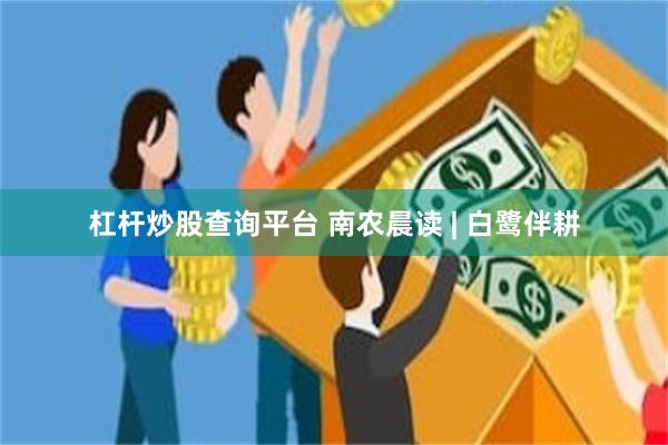 杠杆炒股查询平台 南农晨读 | 白鹭伴耕