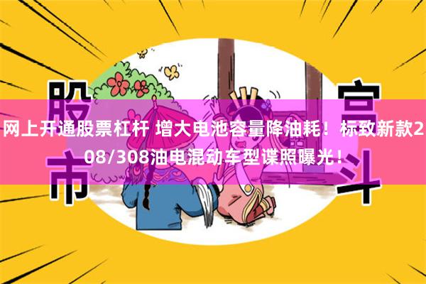 网上开通股票杠杆 增大电池容量降油耗！标致新款208/308油电混动车型谍照曝光！