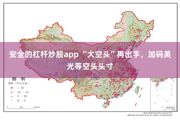 安全的杠杆炒股app “大空头”再出手，加码美光等空头头寸